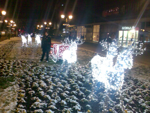 2 .Irvasi u centru grada Novog Sada, januar 2009.jpg